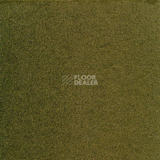 Ковролин Sintelon Eden 59730 фото 1 | FLOORDEALER