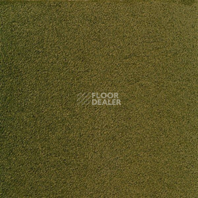 Ковролин Sintelon Eden 59730 фото 1 | FLOORDEALER