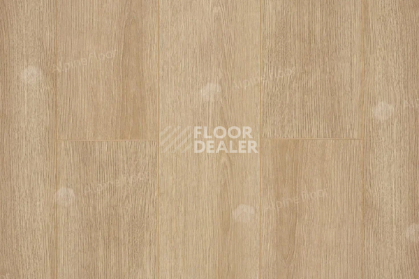 Ламинат Alpine Floor Premium 10мм P1002  ДУБ НАТУР фото 1 | FLOORDEALER