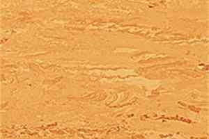 Линолеум Polyflor 2000 Pur 8490 фото  | FLOORDEALER