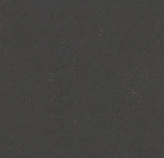 Линолеум Forbo Marmoleum Sport 83707 black hole фото 1 | FLOORDEALER