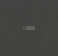 Линолеум Forbo Marmoleum Sport 83707 black hole фото 1 | FLOORDEALER