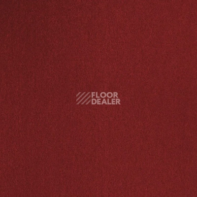 Ковролин Haima Unique Trend 32 фото 1 | FLOORDEALER