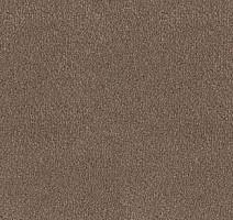 Ковролин Desso Asteranne 2092 фото 1 | FLOORDEALER