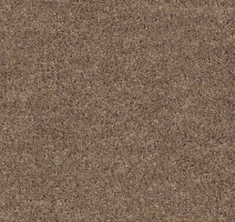 Ковролин AW Obsession 36 фото 1 | FLOORDEALER