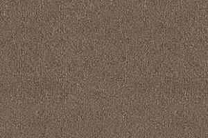 Ковролин Desso Asteranne 2092 фото  | FLOORDEALER