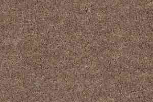 Ковролин AW Obsession 36 фото  | FLOORDEALER