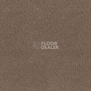 Ковролин Desso Asteranne 2092 фото 1 | FLOORDEALER