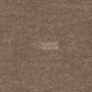Ковролин AW Obsession 36 фото 1 | FLOORDEALER