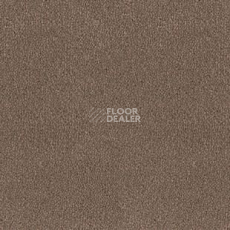 Ковролин Desso Asteranne 2092 фото 1 | FLOORDEALER