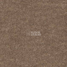 Ковролин AW Obsession 36 фото 1 | FLOORDEALER