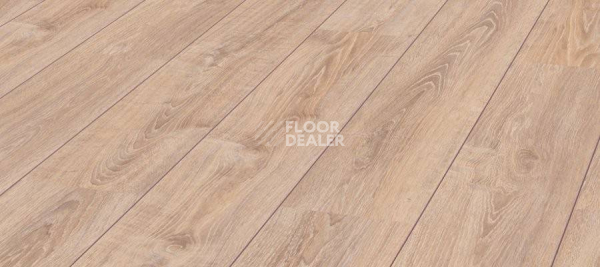 Ламинат Kronotex Exquisit 8мм d2987 Дуб Ретушированный фото 1 | FLOORDEALER