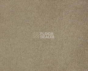 Ковролин Lano Lior 260 Camel фото 1 | FLOORDEALER