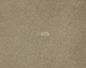 Lano Lior 260 Camel фото 1 | FLOORDEALER