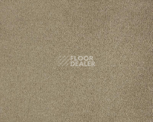 Ковролин Lano Lior 260 Camel фото 1 | FLOORDEALER