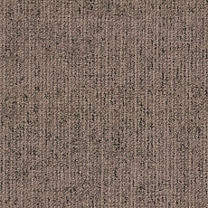 Ковровая плитка Canvas Canvas 820 фото 1 | FLOORDEALER