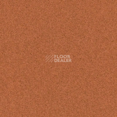 Линолеум Tarkett Primo Plus Depot Primo 305 фото 1 | FLOORDEALER