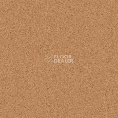 Линолеум Tarkett Primo Plus M Primo 303 фото 1 | FLOORDEALER