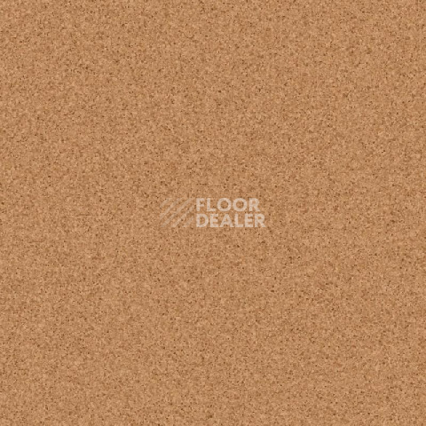 Линолеум Tarkett Primo Plus M Primo 303 фото 1 | FLOORDEALER