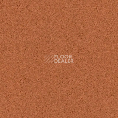 Линолеум Tarkett Primo Plus Depot Primo 305 фото 1 | FLOORDEALER