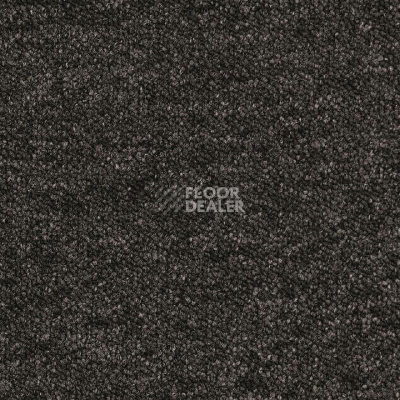 Ковровая плитка DESSO Airmaster Tierra 9981 фото 1 | FLOORDEALER