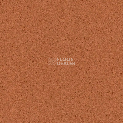 Линолеум Tarkett Primo Plus Depot Primo 305 фото 1 | FLOORDEALER