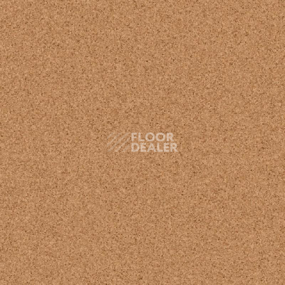Линолеум Tarkett Primo Plus M Primo 303 фото 1 | FLOORDEALER
