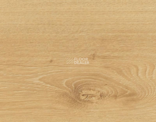 Ламинат My Step Mega 12 ms 2812 Дуб Лион фото 2 | FLOORDEALER