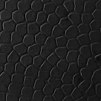 Линолеум Active Sports AS-3065 Black фото 1 | FLOORDEALER