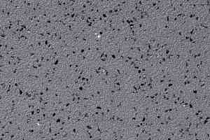 Линолеум Grabo Omnis 2.0 1855_05_228 фото  | FLOORDEALER