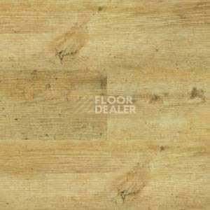 Линолеум Polyflor Expona Wood 6151 фото 1 | FLOORDEALER