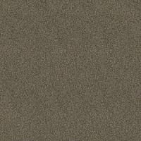 Ковролин Haima Lounge x 4454 фото 1 | FLOORDEALER