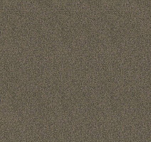 Ковролин Haima Lounge x 4454 фото 1 | FLOORDEALER