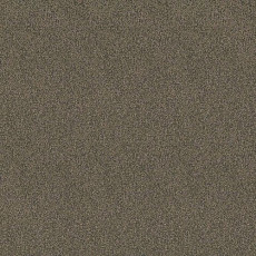 Ковролин Haima Lounge x 4454 фото 1 | FLOORDEALER