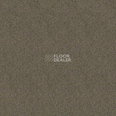 Ковролин Haima Lounge x 4454 фото 1 | FLOORDEALER