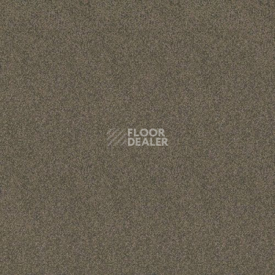 Ковролин Haima Lounge x 4454 фото 1 | FLOORDEALER