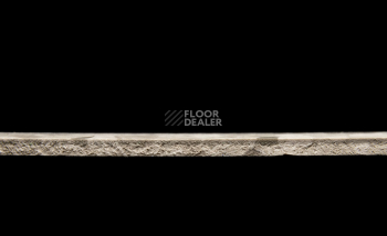 Tarkett Primo Plus 313 фото 3 | FLOORDEALER