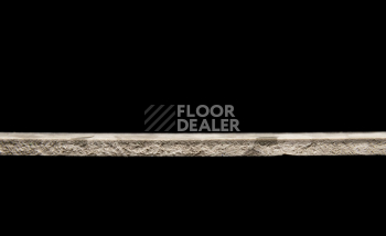 Tarkett Primo Plus 313 фото 3 | FLOORDEALER