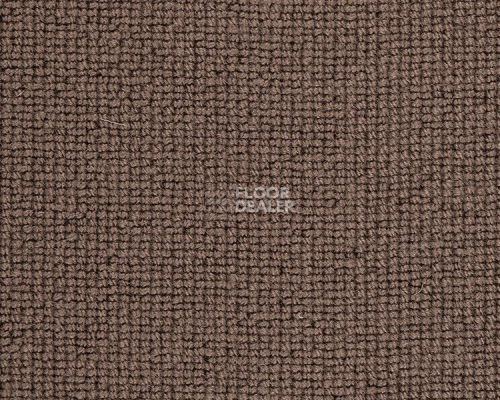 Ковролин Best Wool Hospitality 1 h 1450 - e 40000 фото 1 | FLOORDEALER