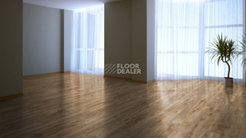 Kronotex Mammut Plus d4795 Дуб Горный бронзовый фото 2 | FLOORDEALER