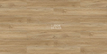 Evofloor Life Click 4.2мм Дуб Борнео фото 3 | FLOORDEALER