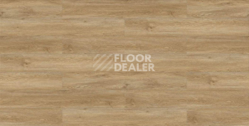Evofloor Life Click 4.2мм Дуб Борнео фото 3 | FLOORDEALER
