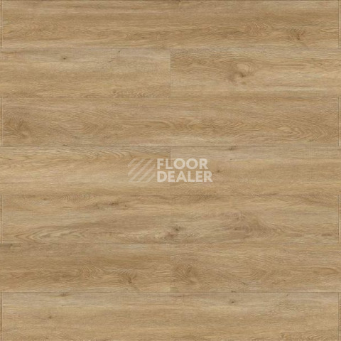 Evofloor Life Click 4.2мм Дуб Борнео фото 3 | FLOORDEALER
