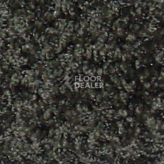 Ковролин Bell Rock Beaulieu of America 1443 фото 1 | FLOORDEALER