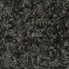 Ковролин Bell Rock Beaulieu of America 1443 фото 1 | FLOORDEALER