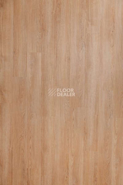 Кварцвиниловые полы Bonkeel Base Base 211 фото 1 | FLOORDEALER