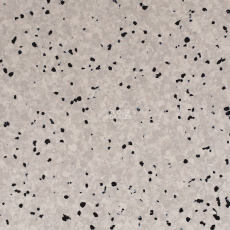 Standard Conductive 802 Silver фото 1 | FLOORDEALER