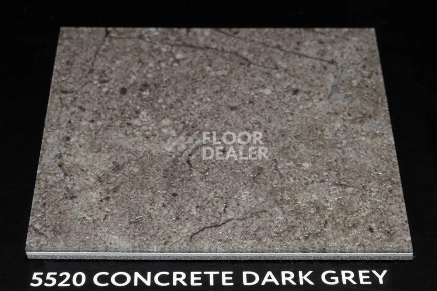 Виниловая плитка ПВХ Vertigo Trend / Stone & Design 5520 Concrete Dark grey 457.2 мм X 457.2 мм фото 2 | FLOORDEALER