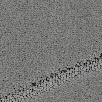 Ковролин Balsan Pavillon 920 фото 1 | FLOORDEALER