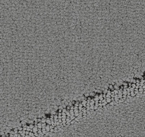 Ковролин Balsan Pavillon 920 фото 1 | FLOORDEALER